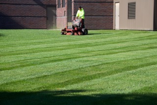 Commercial Lawn Care