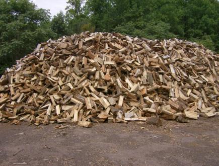 Firewood