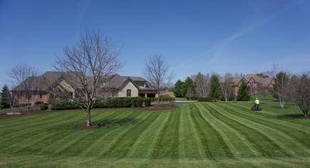 Residential Lawn Care